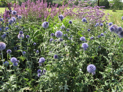 Gärten in England Coton Manor